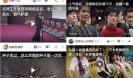 吃瓜爆料团体视频下载,一场全民狂欢的盛宴