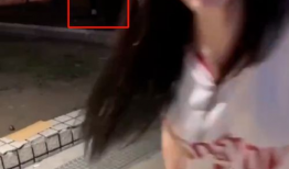 女生搞基视频,背后真相令人震惊