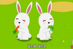 小白兔视频,小白兔的奇幻冒险之旅
