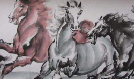 马与马交配视频,一场自然交配的温馨瞬间